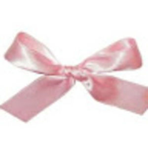 Meet your Posher, Ana